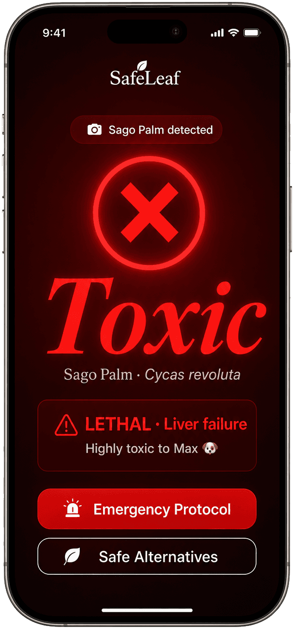 SafeLeaf app showing toxic alert for Sago Palm